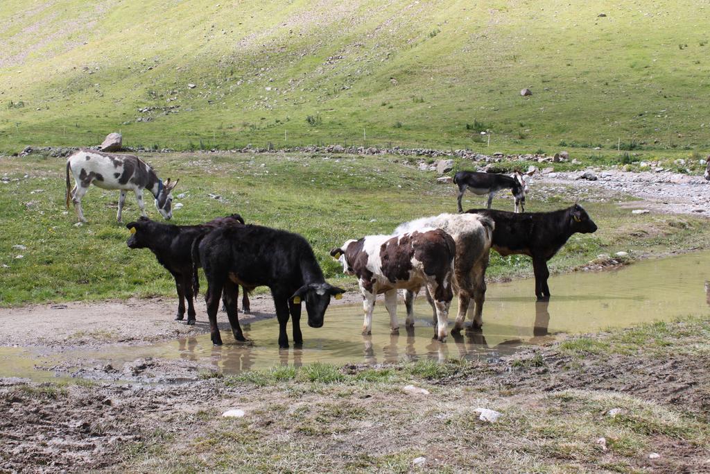 Dependance Sporting Hotel Livigno Kültér fotó